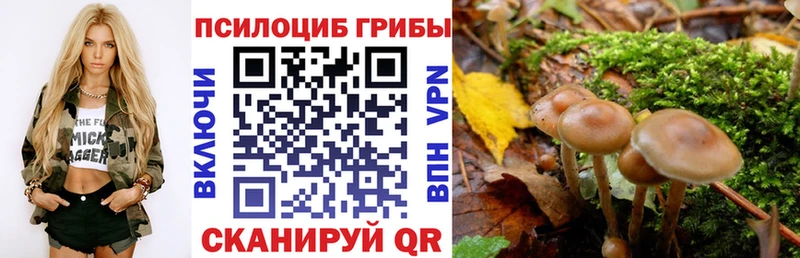Галлюциногенные грибы Magic Shrooms  купить наркоту  omg зеркало  Абдулино 